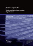 What Lawyers Do: Understanding the Many American Legal Practices by Ann Southworth